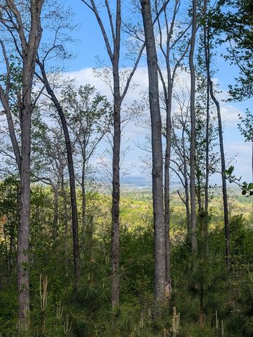 Lot 91 Winding Ridge, Blairsville, GA 30512