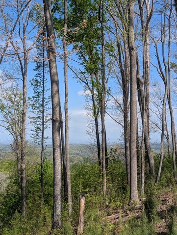 Lot 91 Winding Ridge, Blairsville, GA 30512
