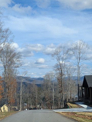 Lot 91 Winding Ridge, Blairsville, GA 30512