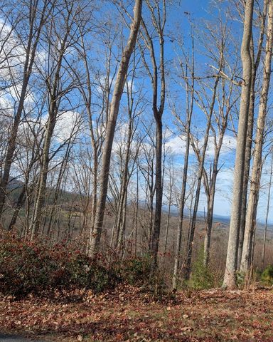 Lot 91 Winding Ridge, Blairsville, GA 30512