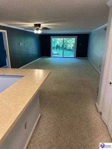 107 Freeman Green Drive, Elizabethtown, KY 42701