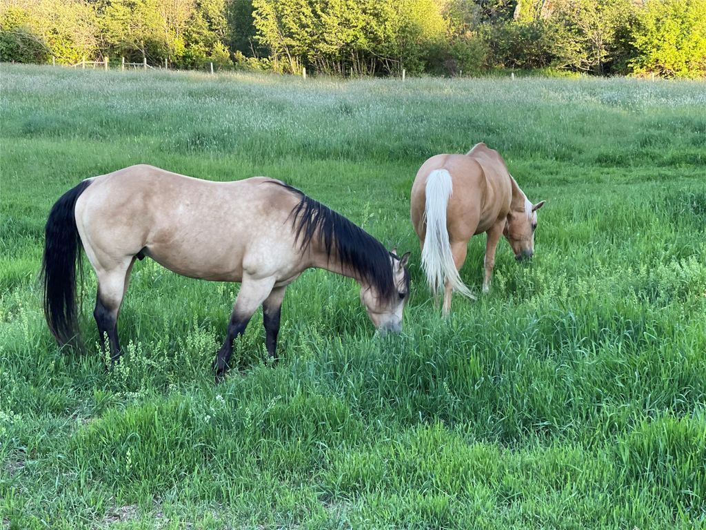 1789 Skalkaho Hwy, Hamilton, MT 59840 photo 124