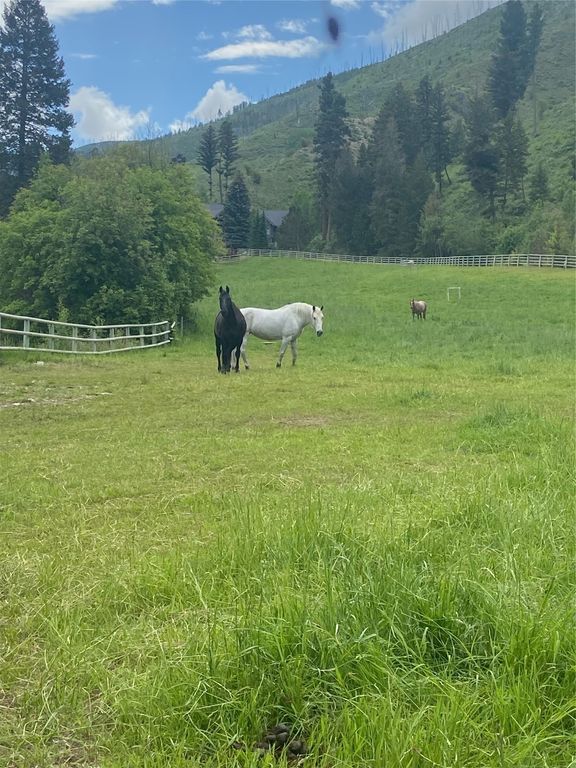 1789 Skalkaho Hwy, Hamilton, MT 59840 photo 159