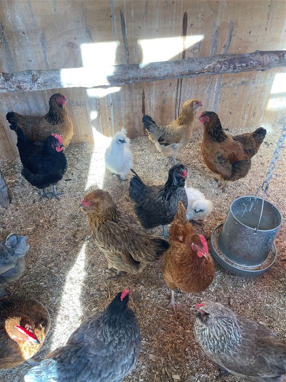 1789 Skalkaho Hwy, Hamilton, MT 59840 photo 160