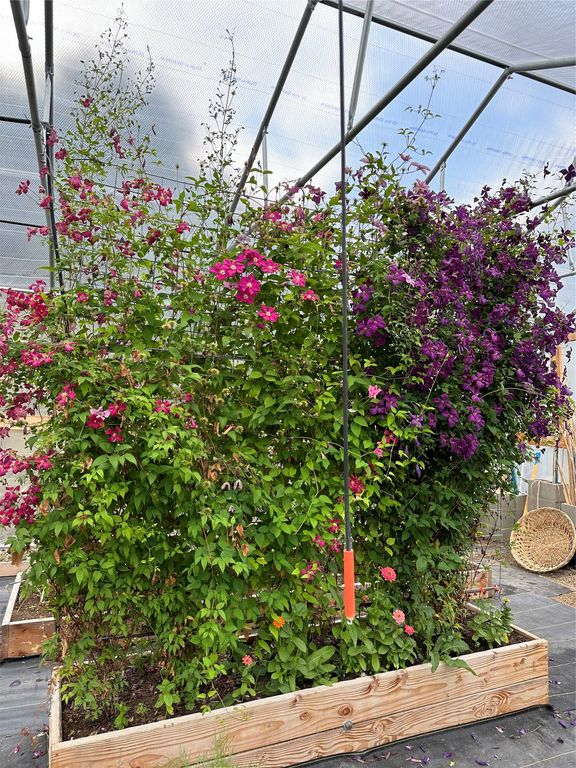 1789 Skalkaho Hwy, Hamilton, MT 59840 photo 162