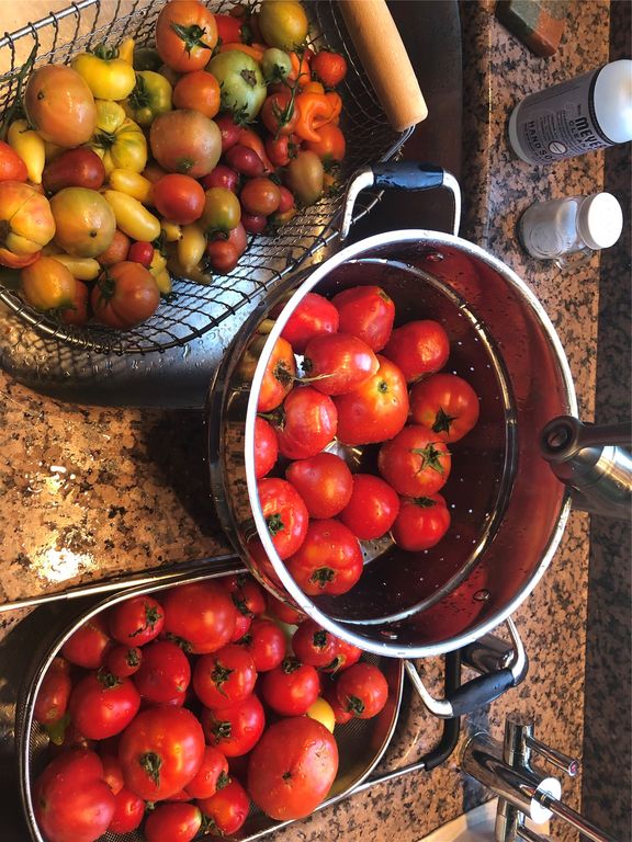 1789 Skalkaho Hwy, Hamilton, MT 59840 photo 163