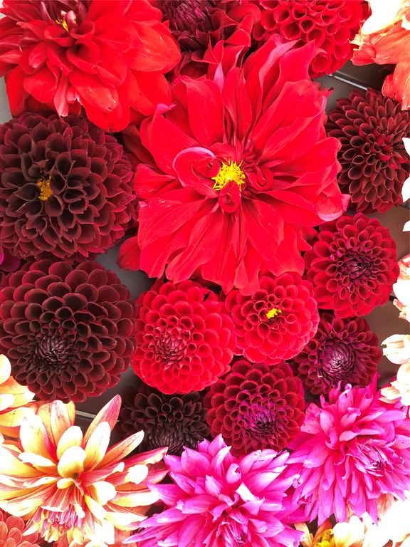 1789 Skalkaho Hwy, Hamilton, MT 59840 photo 164