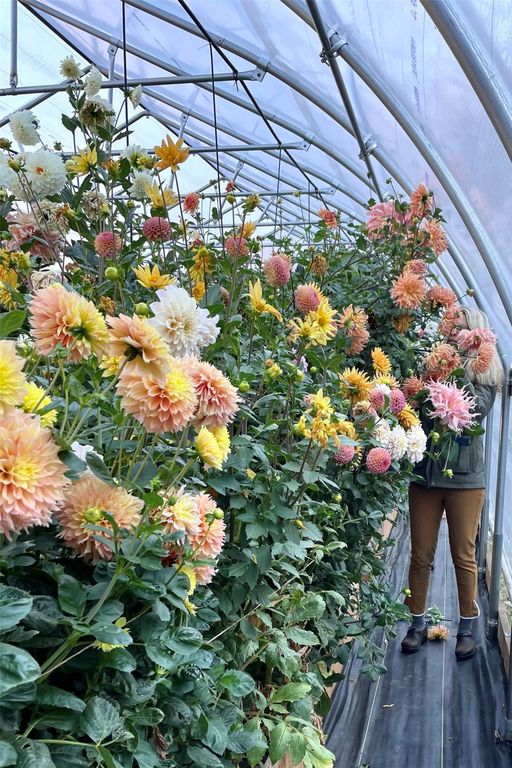 1789 Skalkaho Hwy, Hamilton, MT 59840 photo 165