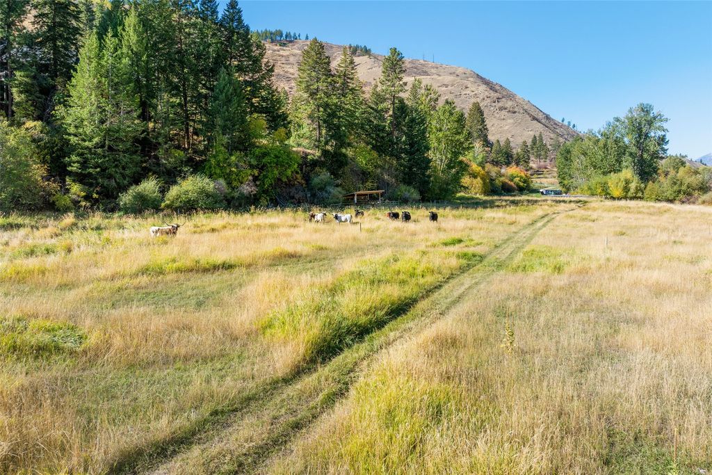 1789 Skalkaho Hwy, Hamilton, MT 59840 photo 6