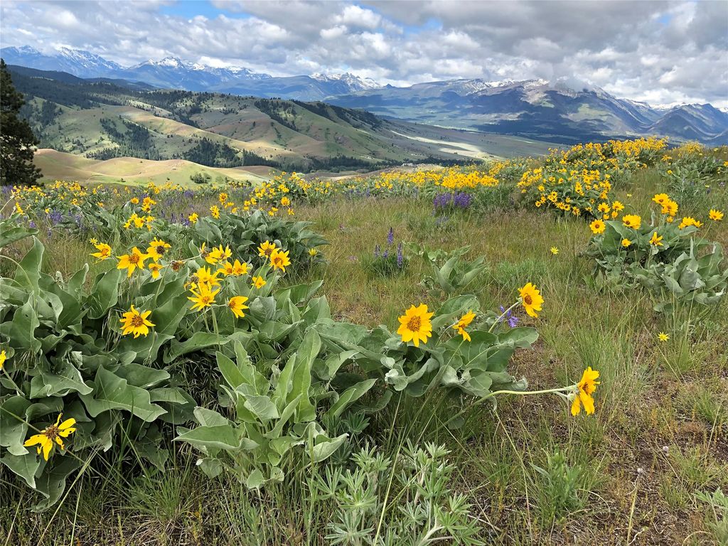 1789 Skalkaho Hwy, Hamilton, MT 59840 photo 99