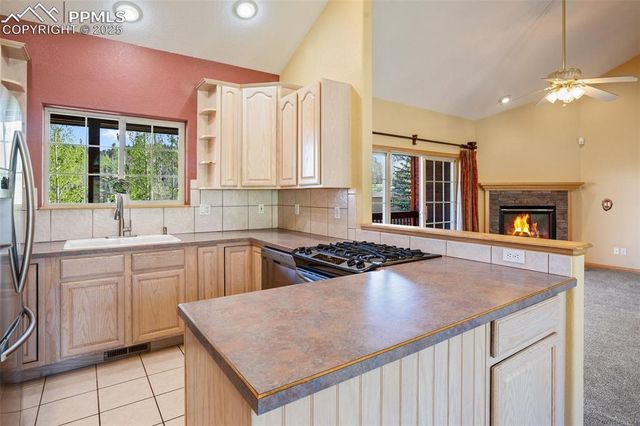 427 Gray Horse Circle, Woodland Park, CO 80863