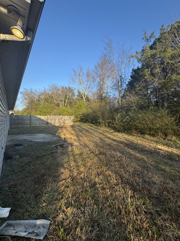 641 Mac St, Shelbyville, TN 37160