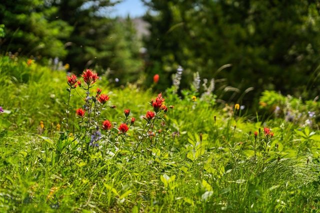 220 Watershed Road, Big Sky, MT 59716
