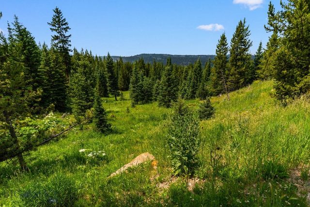 220 Watershed Road, Big Sky, MT 59716