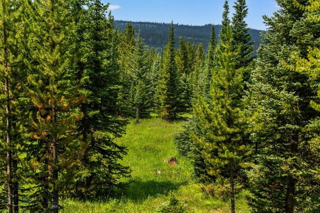 220 Watershed Road, Big Sky, MT 59716
