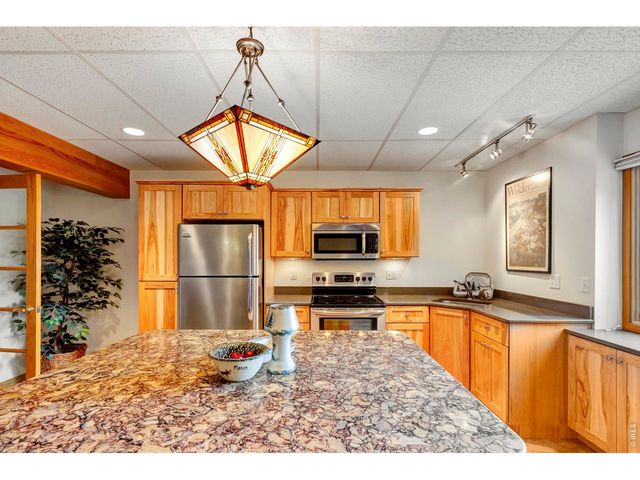 1180 Coyote Run, Estes Park, CO 80517