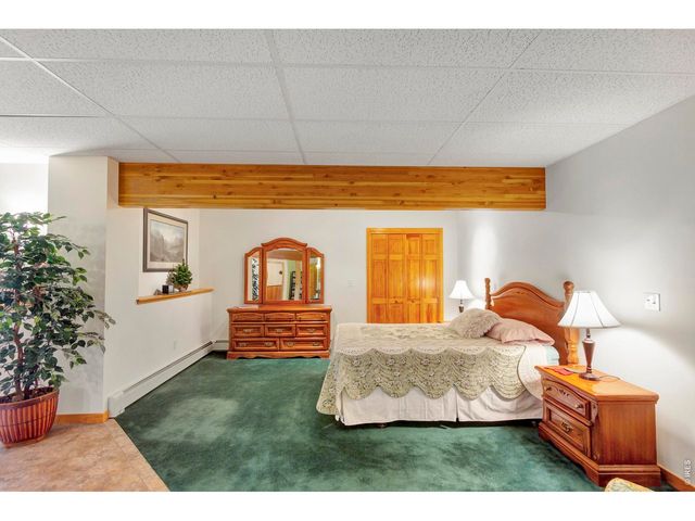 1180 Coyote Run, Estes Park, CO 80517
