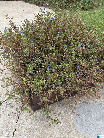 829 SHERWOOD FOREST DRIVE, Birmingham, AL 35235