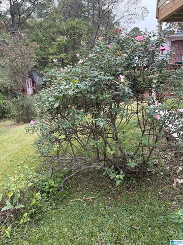 829 SHERWOOD FOREST DRIVE, Birmingham, AL 35235