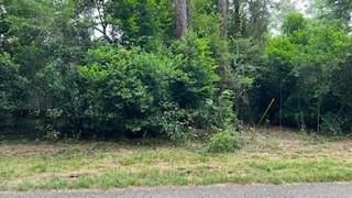 0 Lake Rollingwood Loop, Conroe, TX 77303