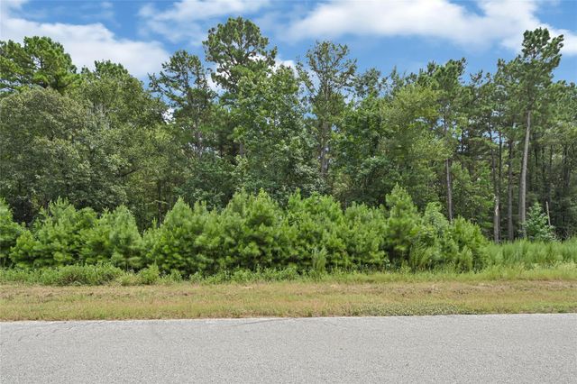 7-23-66 Sky Oak Lane, Huntsville, TX 77340