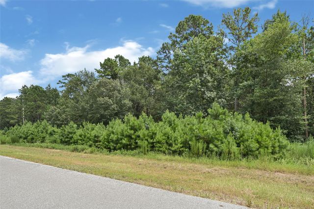 7-23-66 Sky Oak Lane, Huntsville, TX 77340