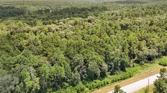 7-23-66 Sky Oak Lane, Huntsville, TX 77340