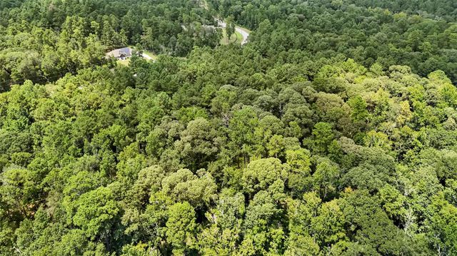 7-23-66 Sky Oak Lane, Huntsville, TX 77340