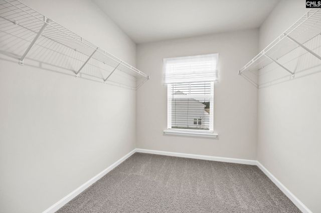 1003 Cornelia Street, Elgin, SC 29045