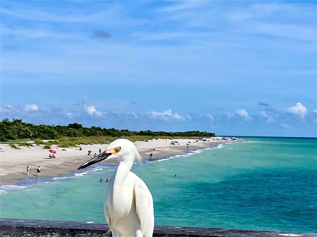 1052 W TRUMAN STREET, Nokomis, FL 34275