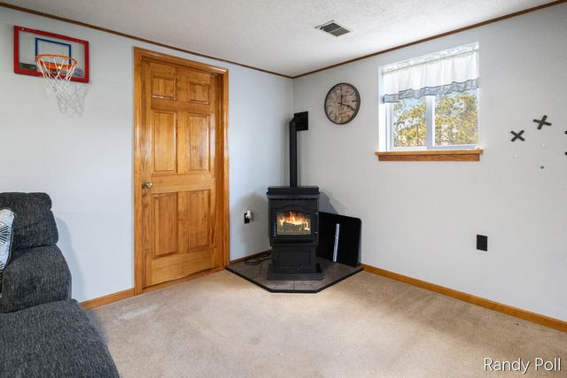 5773 E 136th Street, Sand Lake, MI 49343