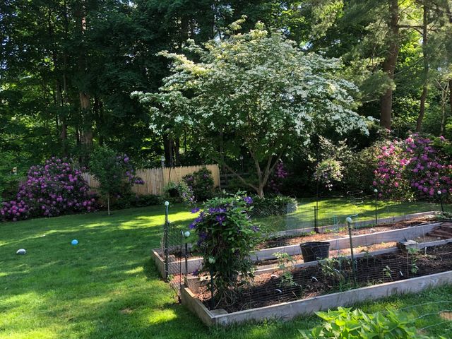 14 Ortins Rd, Hamilton, MA 01982