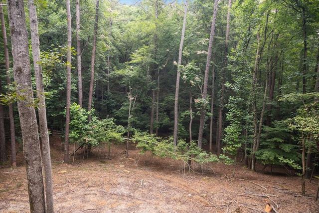 129 Monticello Drive, Ellijay, GA 30540