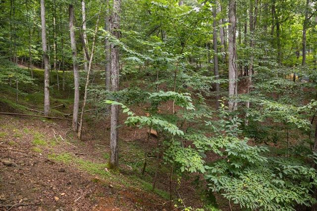 129 Monticello Drive, Ellijay, GA 30540