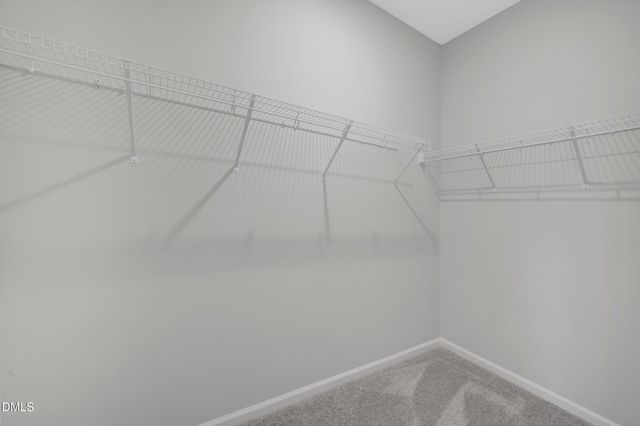 3136 Cathedral Comb Drive 251, Apex, NC 27502