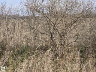 0 Weber (Lot B) Road, Richmond, MI 48063