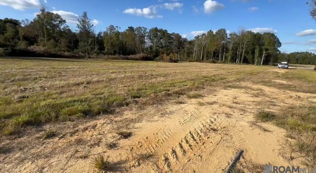 24125 Glory Dr, Livingston, LA 70754