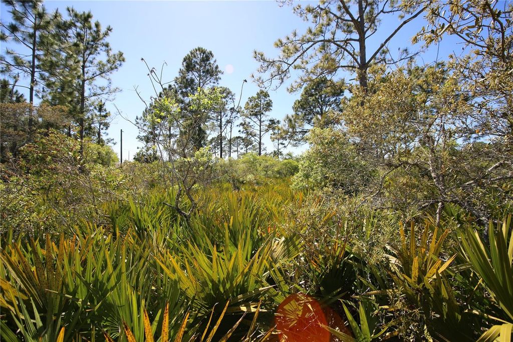 Image 11 of property listing at 5 SERIEMA COURT, Palm Coast, FL 32164