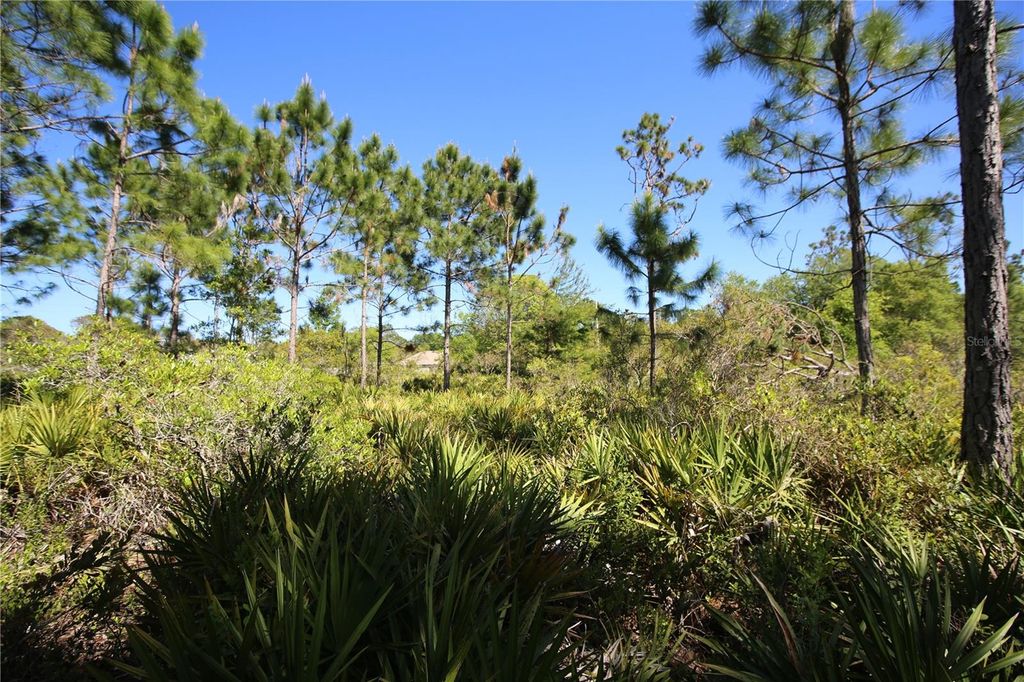 Image 5 of property listing at 5 SERIEMA COURT, Palm Coast, FL 32164