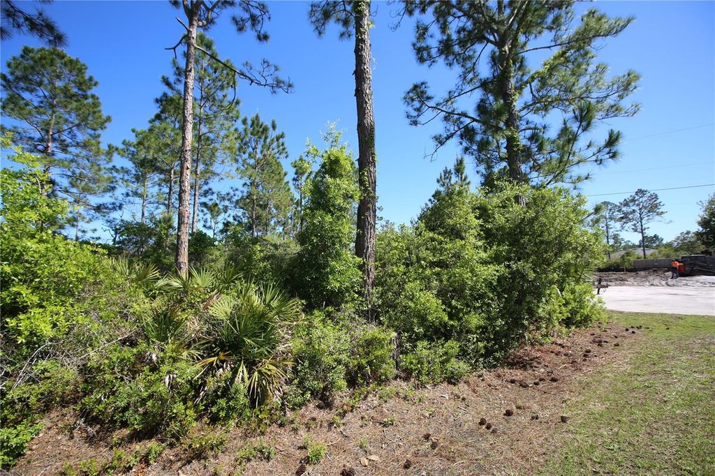 Image 6 of property listing at 5 SERIEMA COURT, Palm Coast, FL 32164