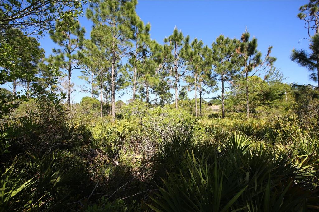 Image 7 of property listing at 5 SERIEMA COURT, Palm Coast, FL 32164