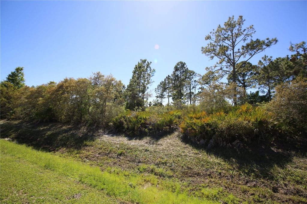 Image 9 of property listing at 5 SERIEMA COURT, Palm Coast, FL 32164