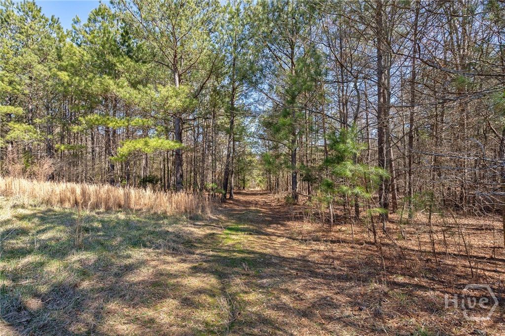 Image 11 of property listing at 0 Kent Rock Road, Loganville, GA 30052