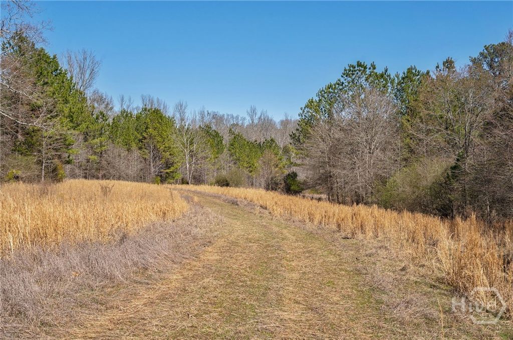 Image 14 of property listing at 0 Kent Rock Road, Loganville, GA 30052