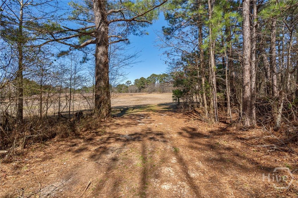Image 16 of property listing at 0 Kent Rock Road, Loganville, GA 30052