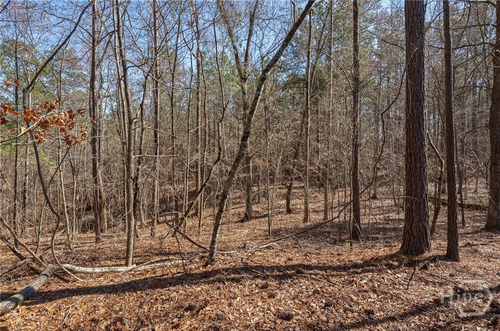 Image 2 of property listing at 0 Kent Rock Road, Loganville, GA 30052