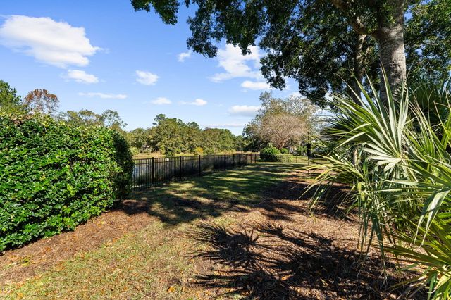 1259 Palmetto Peninsula Drive, Mount Pleasant, SC 29464