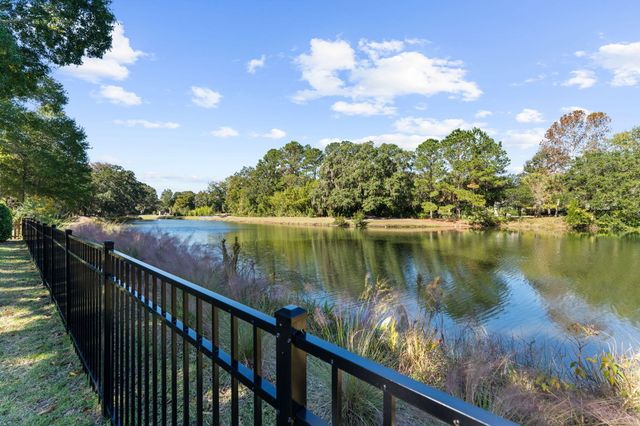 1259 Palmetto Peninsula Drive, Mount Pleasant, SC 29464