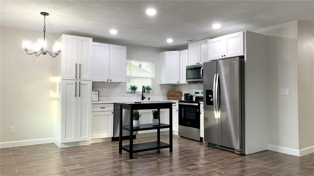 115 S LAKE PLEASANT ROAD, Apopka, FL 32703