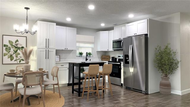 115 S LAKE PLEASANT ROAD, Apopka, FL 32703